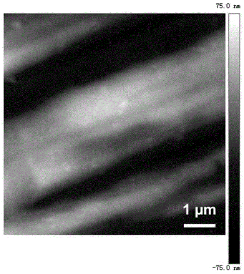 Nickel-titanium alloy containing bioactive coating and its preparation method and application