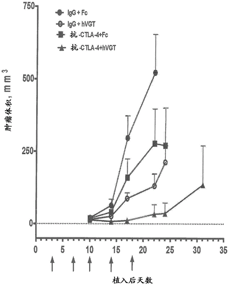 Methods and compositions comprising a combination of a vegf antagonist and an anti-ctla-4 antibody