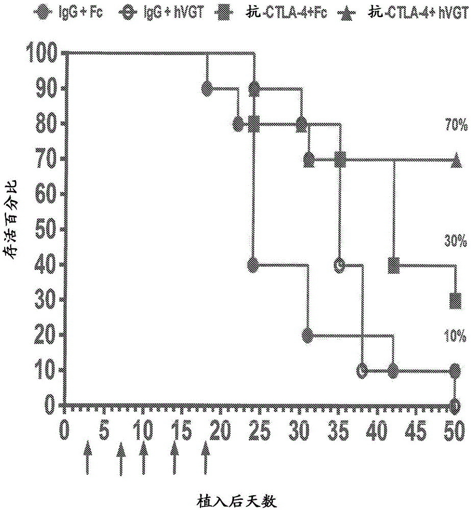 Methods and compositions comprising a combination of a vegf antagonist and an anti-ctla-4 antibody