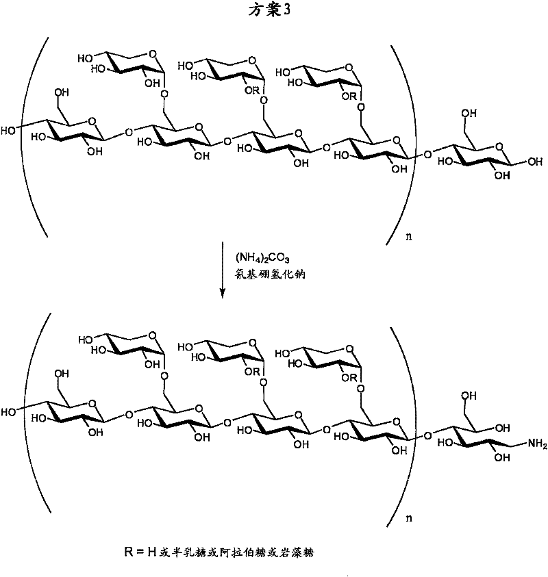 Aminated hemicellulose molecule and method for production thereof