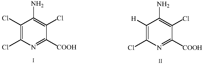 Silver electrode activating method