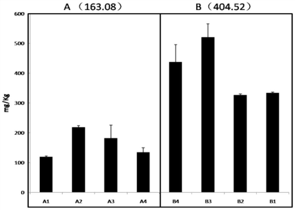 A simple, rapid and high-throughput screening method for Brassica plants with low accumulation of heavy metal cadmium