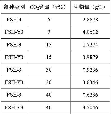 A kind of Pseudochlorella kaiseri tolerant to high pH and its cultivation application