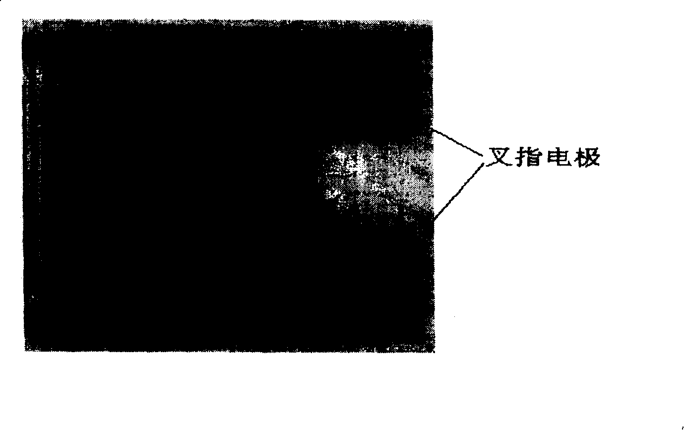 Method for preparing detector in ultraviolet light