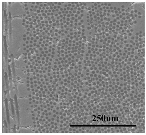 Three-dimensional silicon carbide fiber preform reinforced yttria-zirconia composite ceramic composite material and preparation method thereof