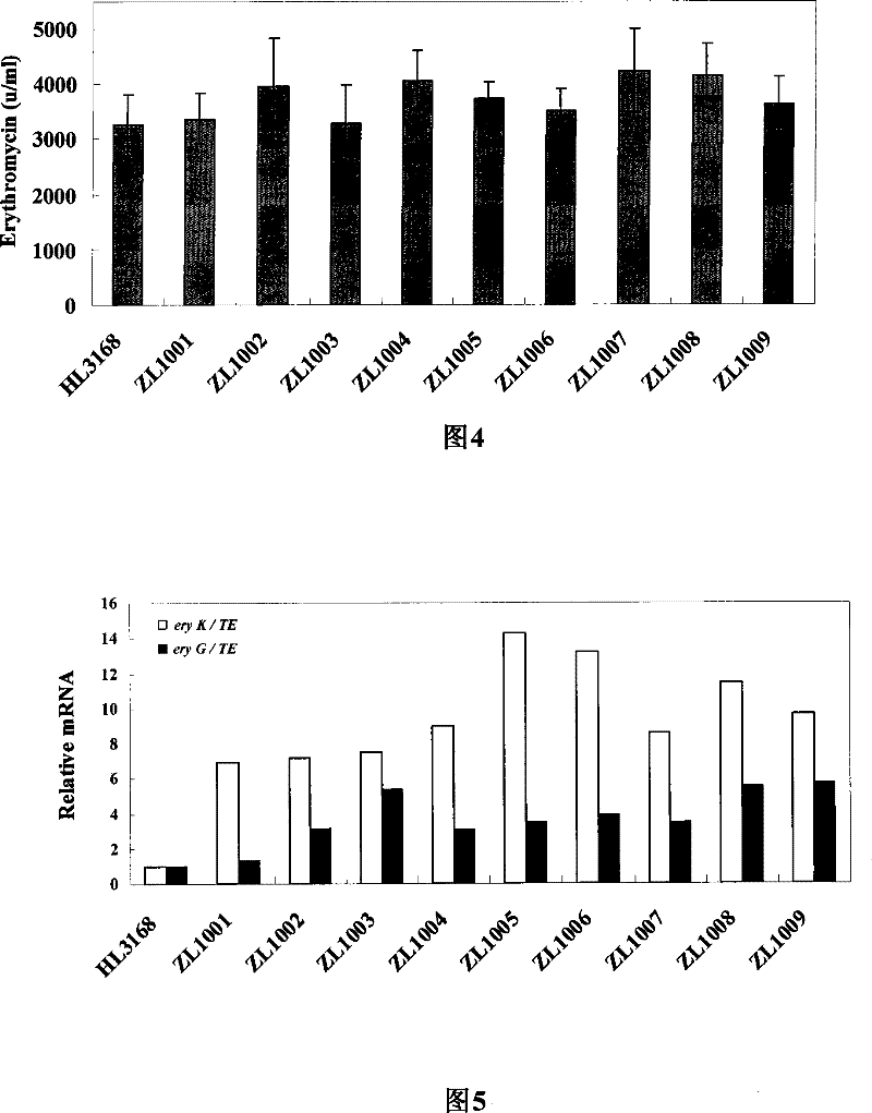 Bacterial for optimizing abomacetin fermentation component, construction method and use