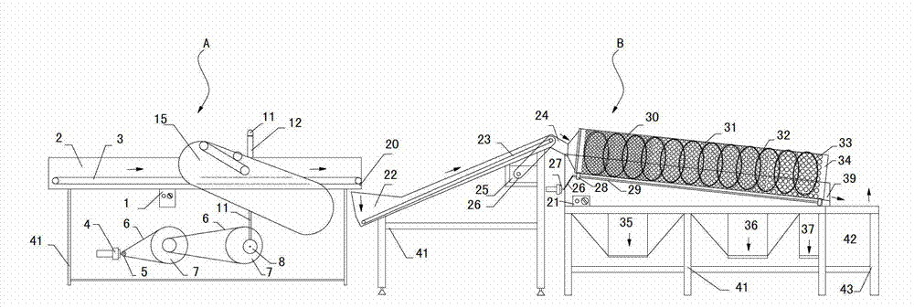 Honey pomelo peel dicing, sieving and classifying machine