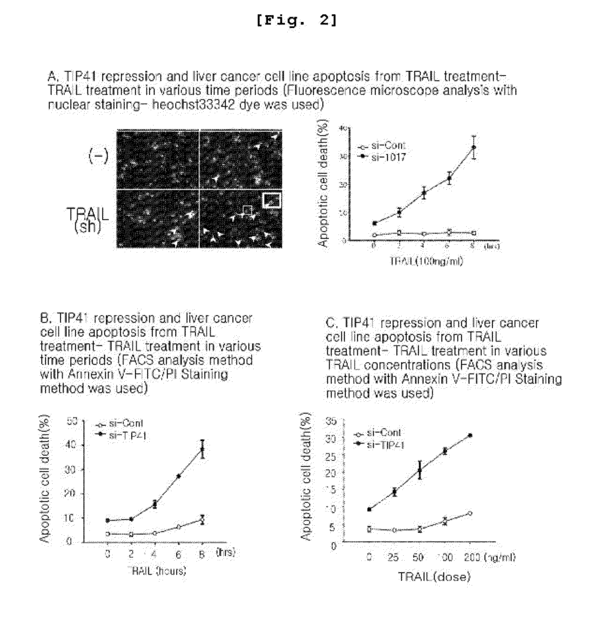 Composition for enhancing trail sensitivity comprising inhibitors for expression or activity of tip41 as a target gene of trail sensitizer