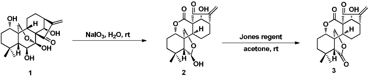 Enmein-type ent-kaurane diterpenoid spliced nitrogen mustard derivatives and preparation method and application thereof