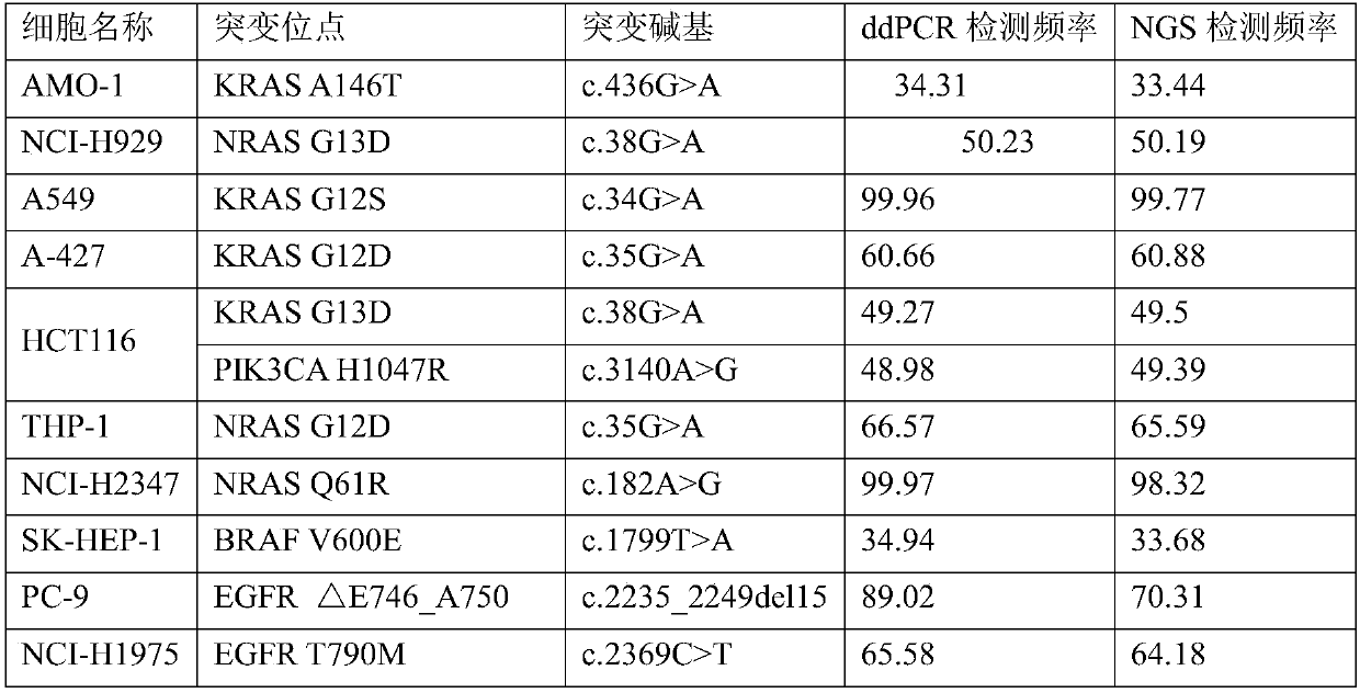 FFPE reference product for gene detection and preparation method and application of FFPE reference product