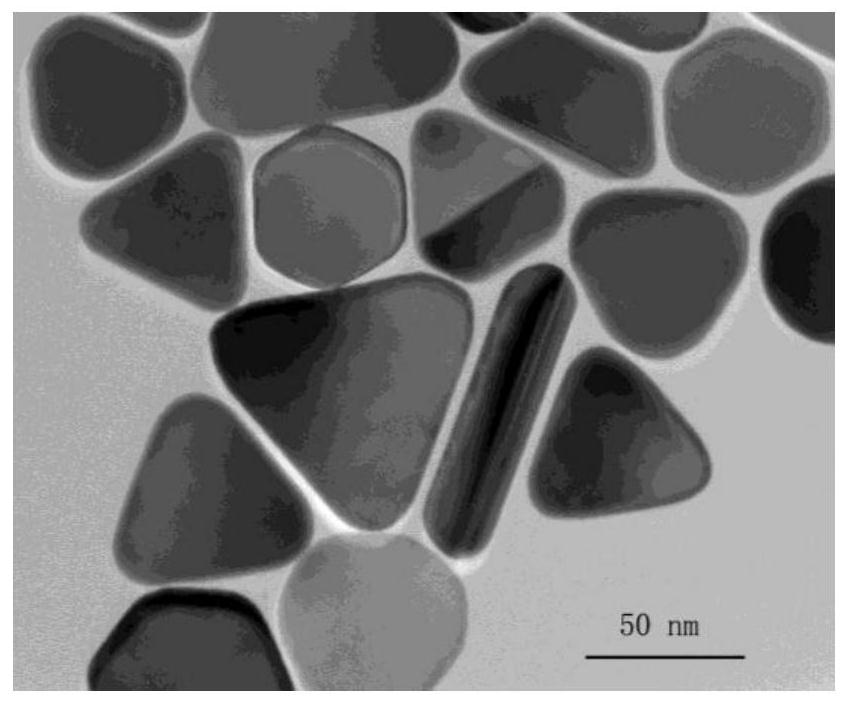 An electrochemical sensor based on nitrogen-sulfur co-doped graphene loaded triangular core-shell nanocomposites and its application for the detection of quercetin