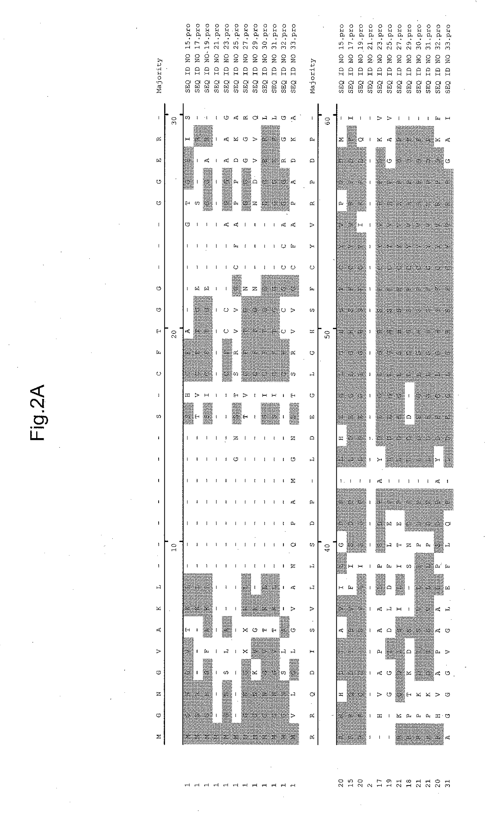 Plants with altered root architecture, related constructs and methods involving genes encoding protein phophatase 2c (PP2C) polypeptides and homologs thereof
