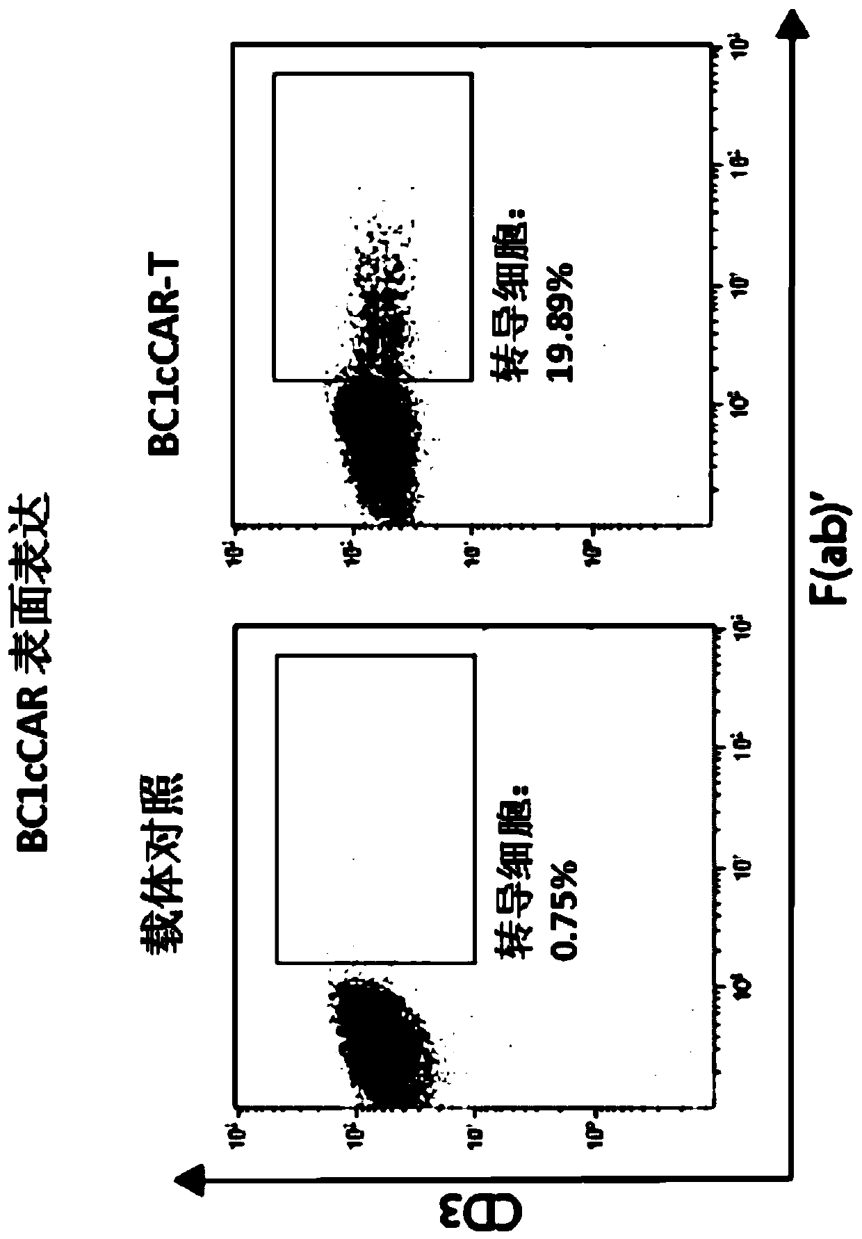 Compound chimeric antigen receptor (cCAR) targeting multiple antigens, compositions and usage method thereof