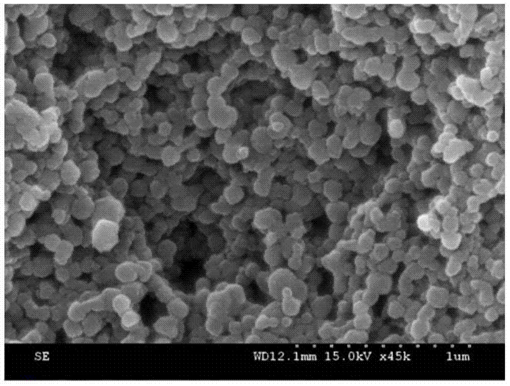 Method for synthesizing water soluble nanometer iron through mangosteen pericarp in environment-friendly mode and application of water soluble nanometer iron