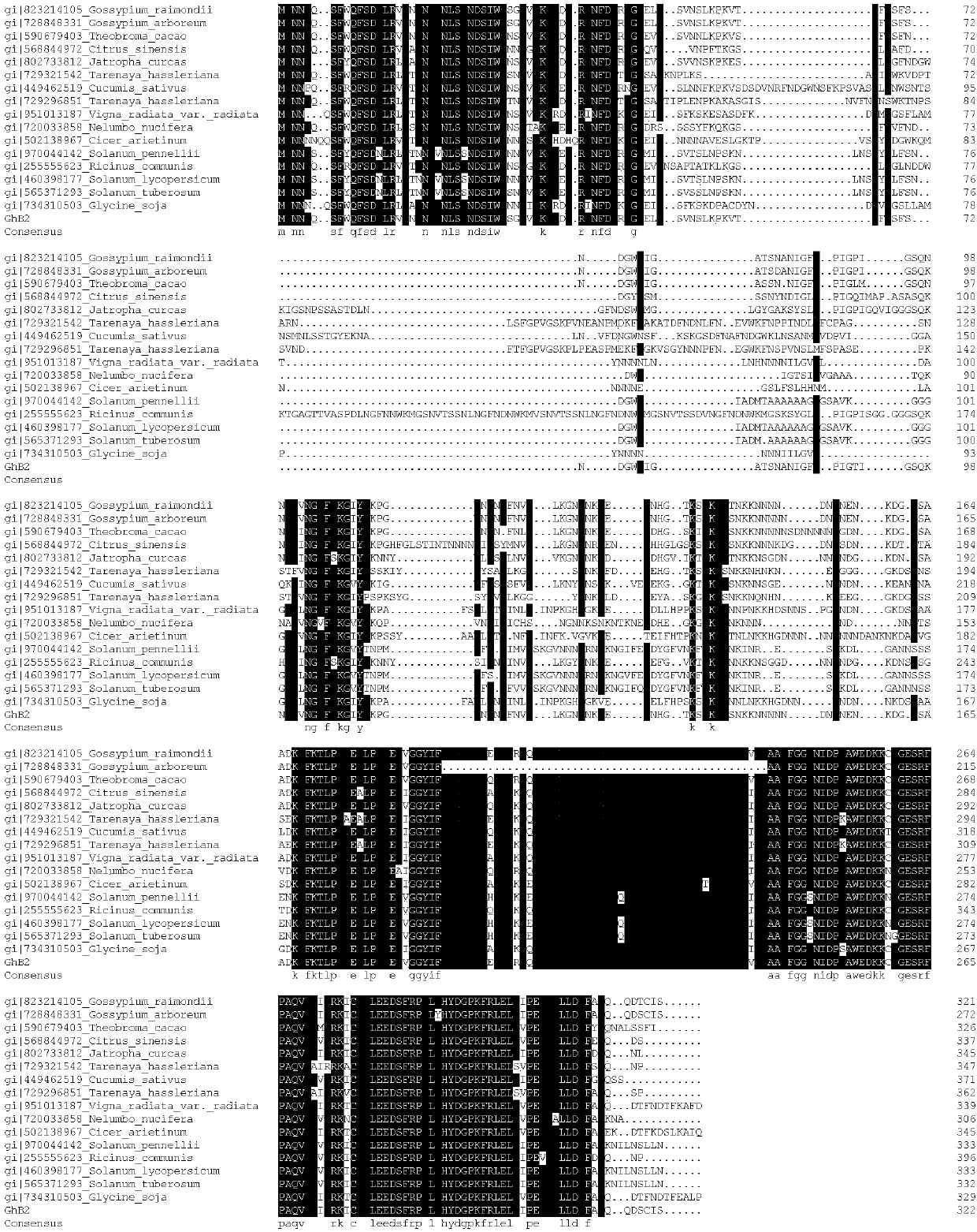 Upland cotton ghb2 protein and its coding gene and application