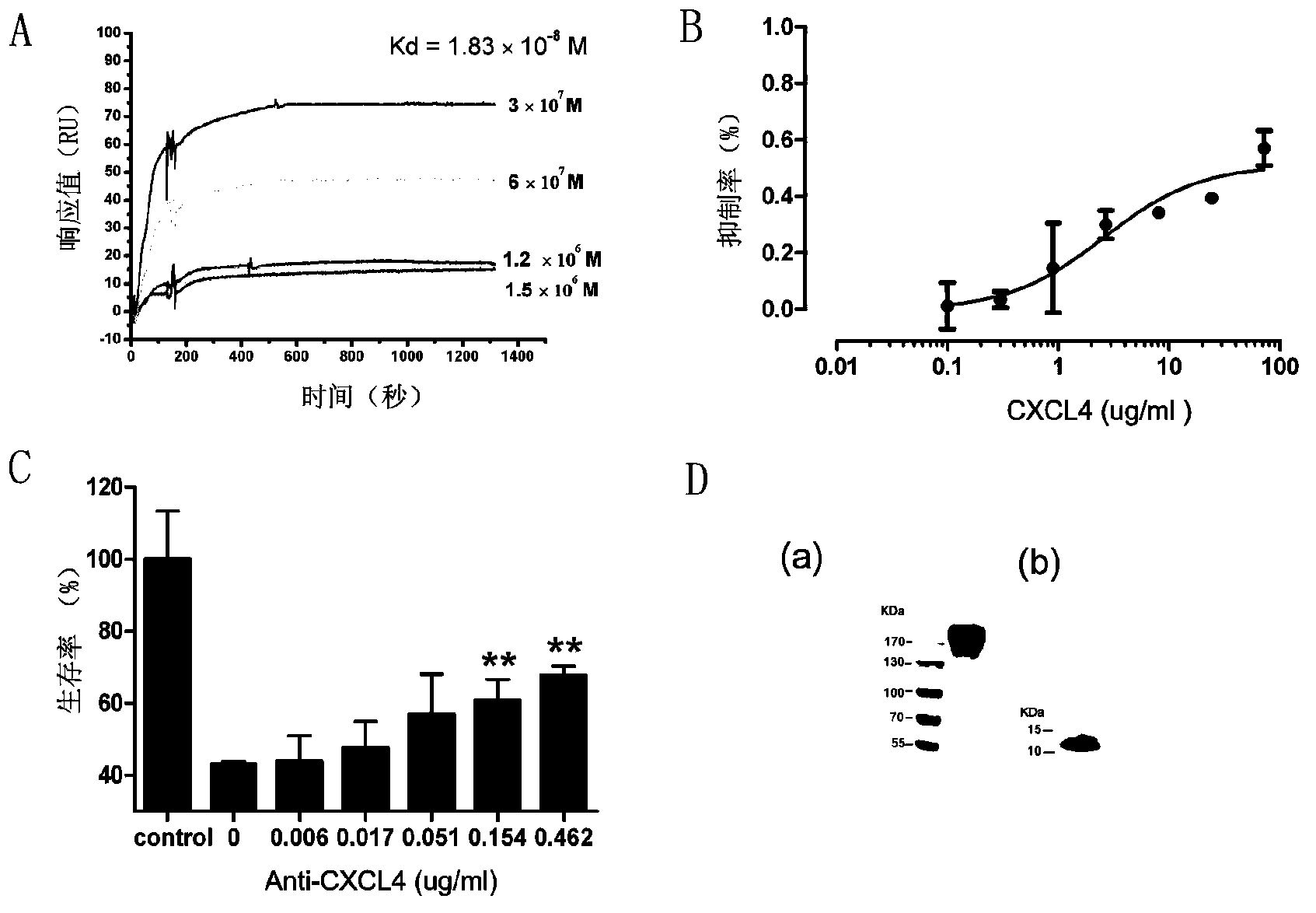 Chemokine-4 resisting monoclonal antibody, chemokine-4 resisting hybridoma cell line and applications of monoclonal antibody