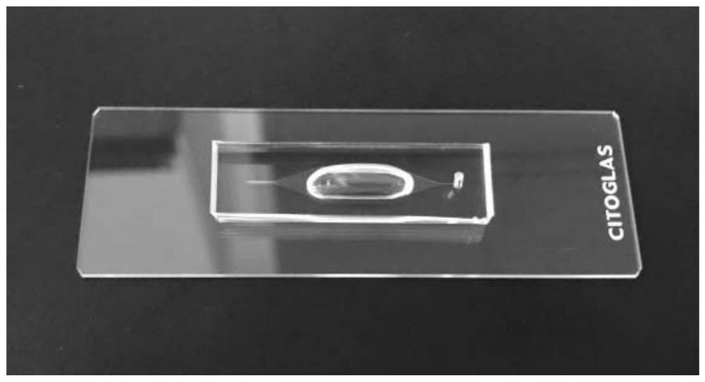 Centrifugal enrichment micro-fluidic chip for low-concentration liquid sample
