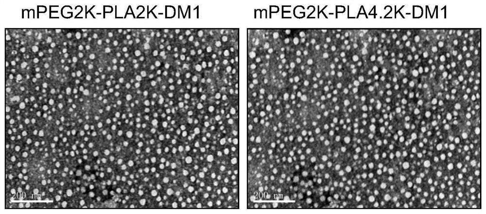 Amphiphilic copolymer-maytansinoids covalently coupled drug, preparation method and application