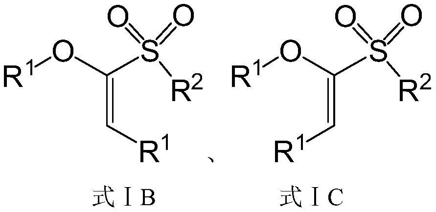 Suzuki-Miyaura coupling reaction using alpha-O-alkenyl sulfone as electrophilic reagent and application thereof