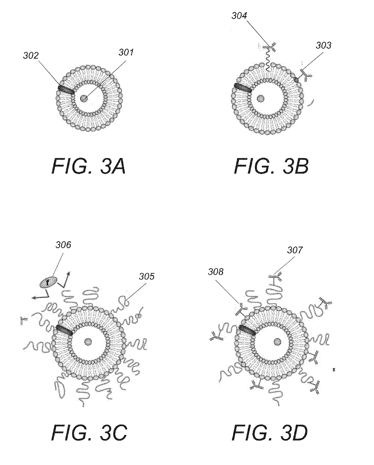 Systems and methods for targeted breast cancer therapies