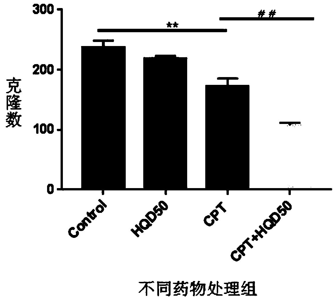 Radix scutellariae soup, and application of equivalent component group of radix scutellariae soup to improvement of chemosensitivity of colon cancer on irinotecan