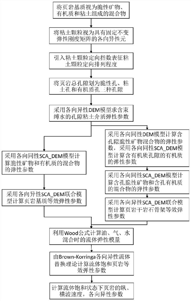 Shale anisotropic petrophysical model modeling method