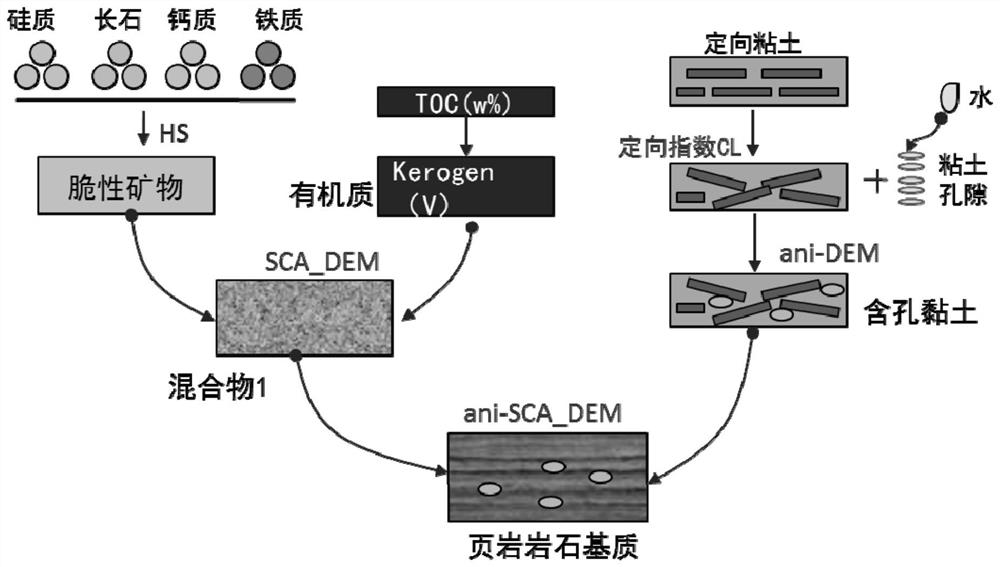 Shale anisotropic petrophysical model modeling method