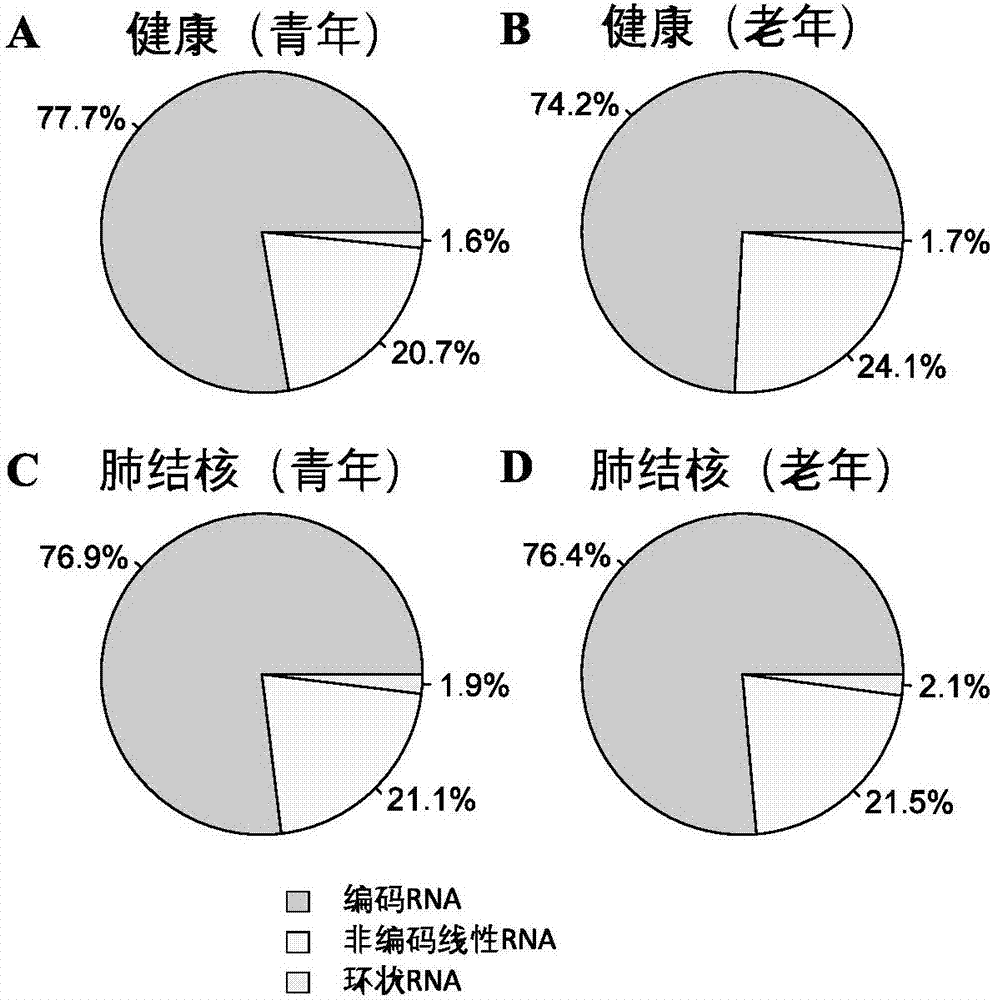 Peripheral blood circular RNA marker for noninvasive diagnosis of active pulmonary tuberculosis, and application