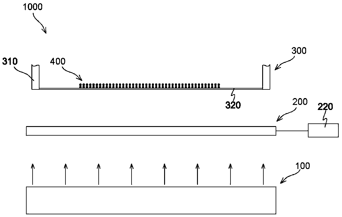 Light-cured rapid forming device and method
