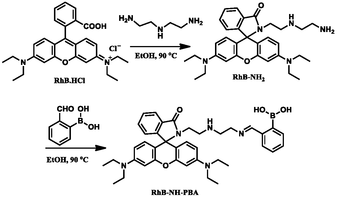 ATP (adenosine triphosphate) multisite binding fluorescence-enhanced type probe molecule and preparation method and application thereof