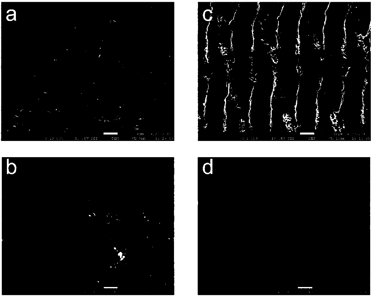 Preparation method of super-hydrophilic organic membrane based on surface covered with micro-nano structure