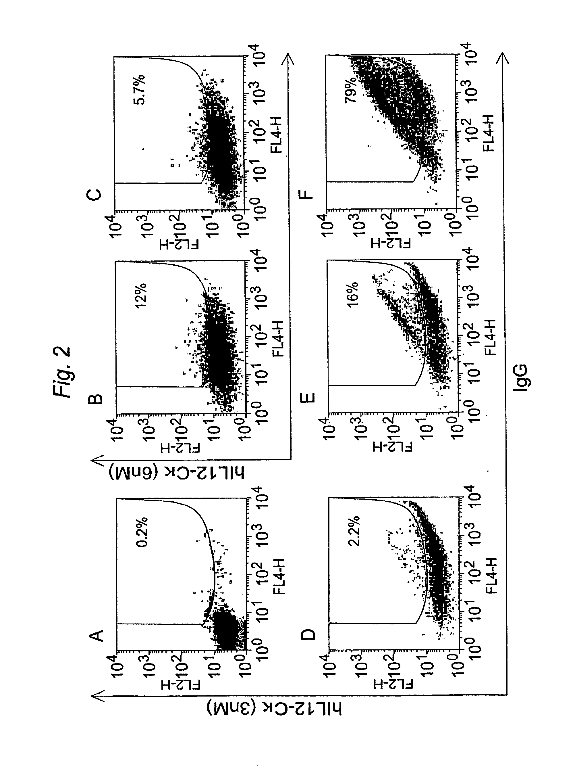 Mammalian cell-based immunoglobulin display libraries