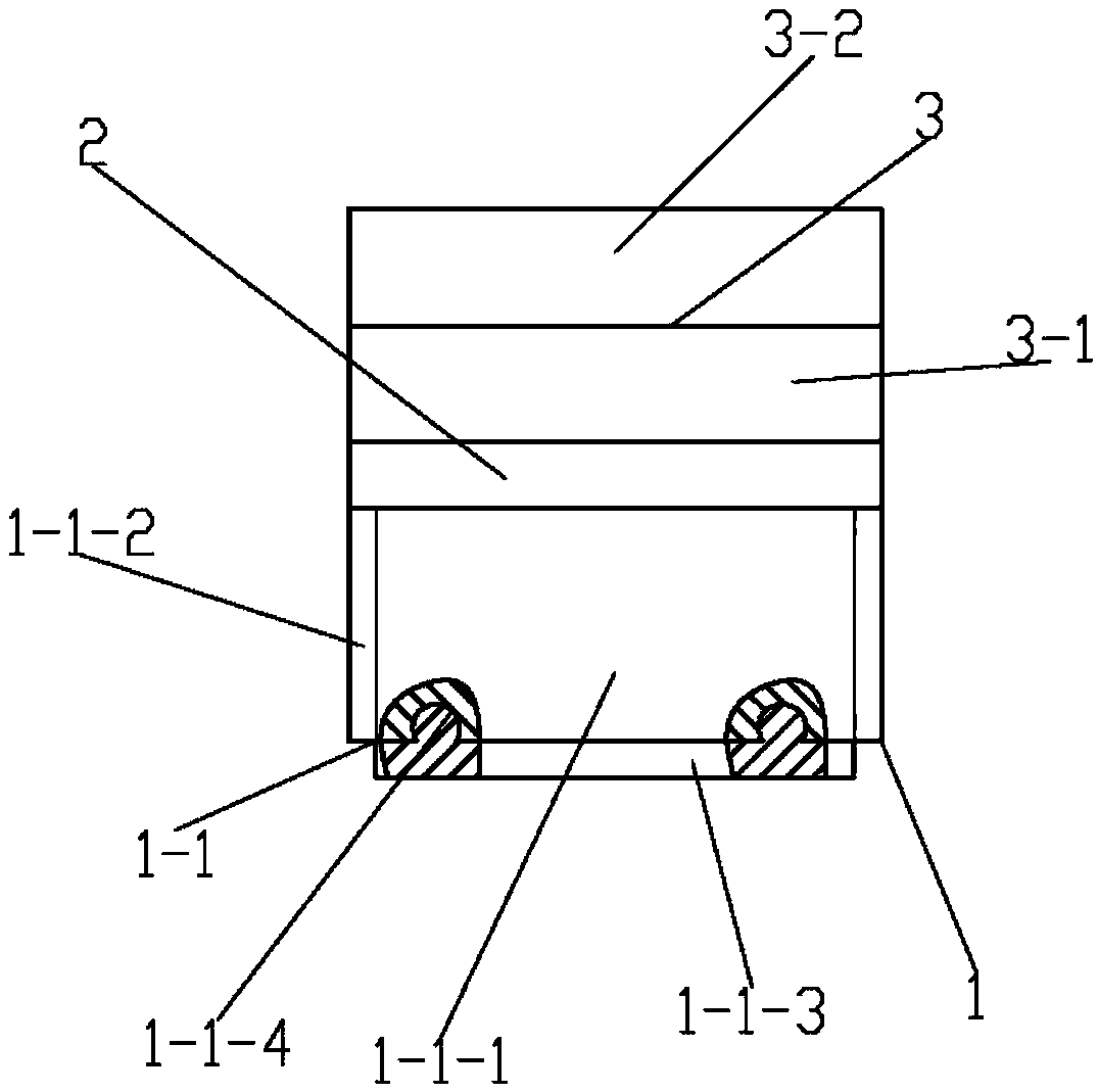 Rapid cooling device