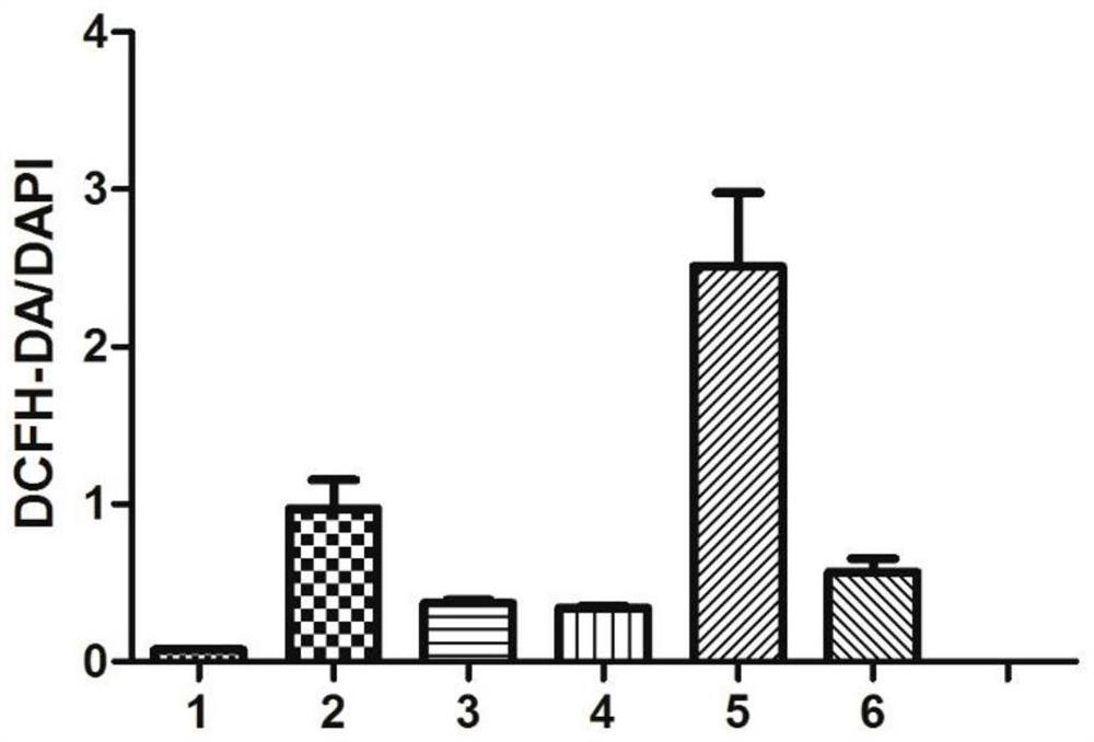 Application of Toonacillin in preparation of medicine for preventing or treating cardiotoxicity generated by antitumor chemotherapy medicine