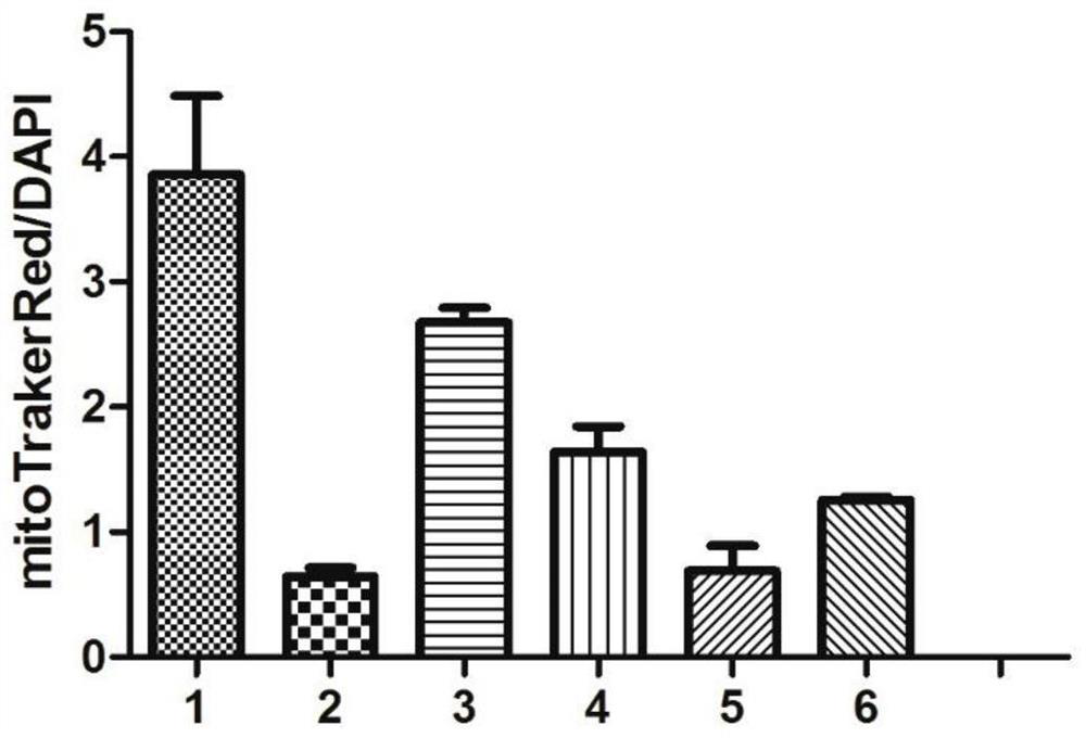 Application of Toonacillin in preparation of medicine for preventing or treating cardiotoxicity generated by antitumor chemotherapy medicine