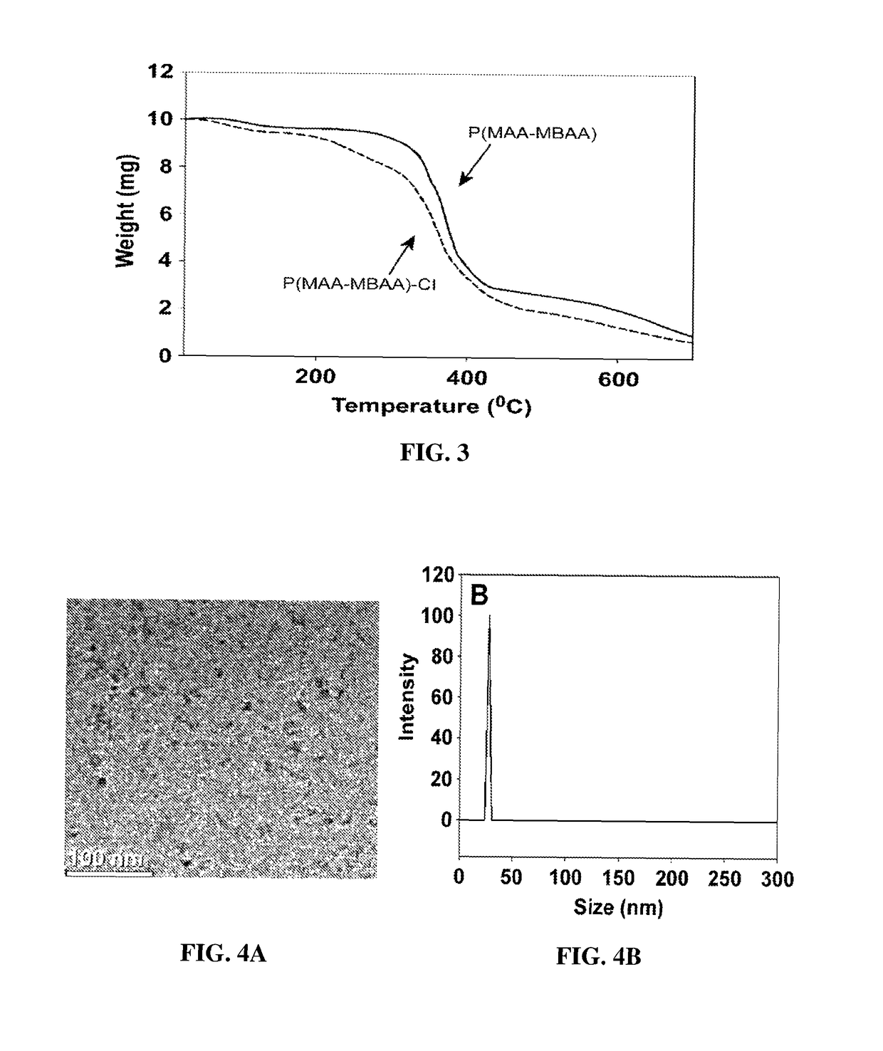 Polyamide nanoparticles and uses thereof