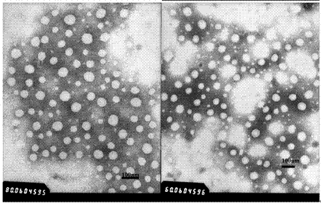 Vaccine carrier based on aluminum hydroxide nanoparticles