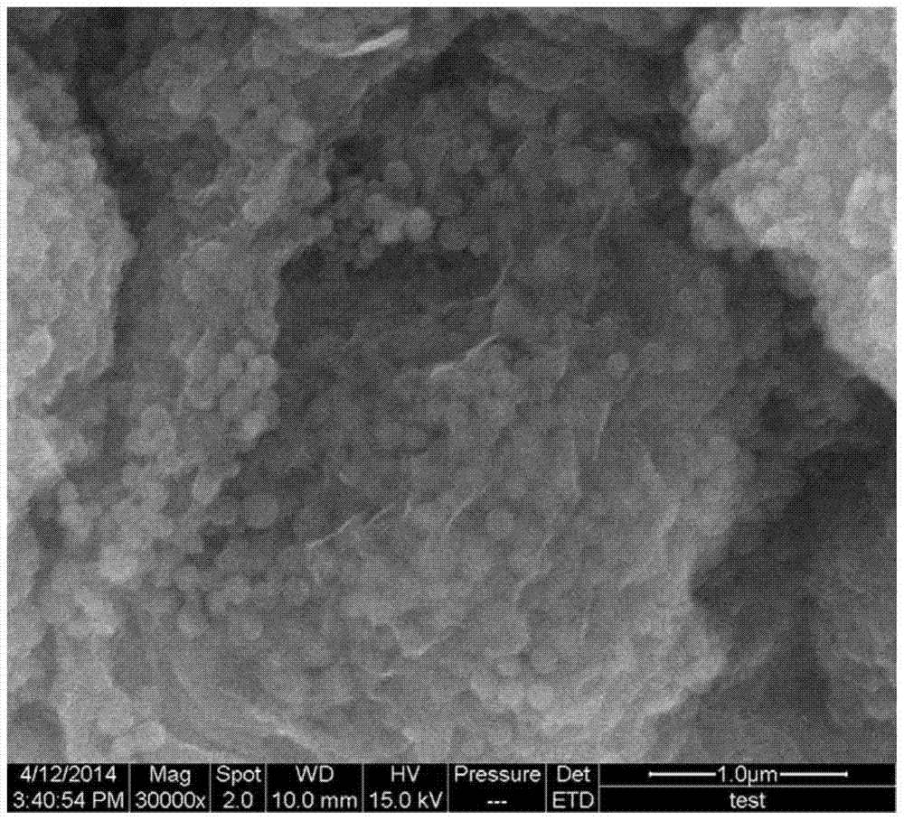 a double modified sno  <sub>2</sub> @c/ Preparation method of graphene nanocomposite negative electrode material