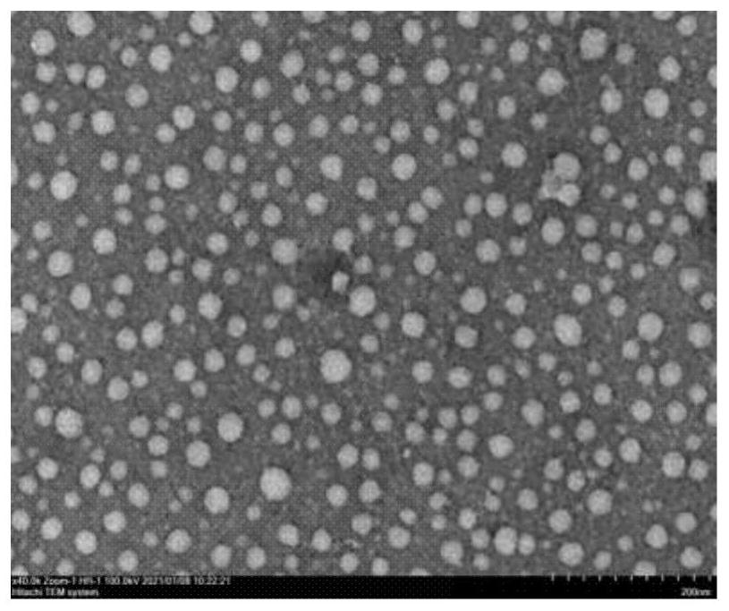 A kind of microemulsion gel of anti-HPV plant extract and preparation method and application thereof