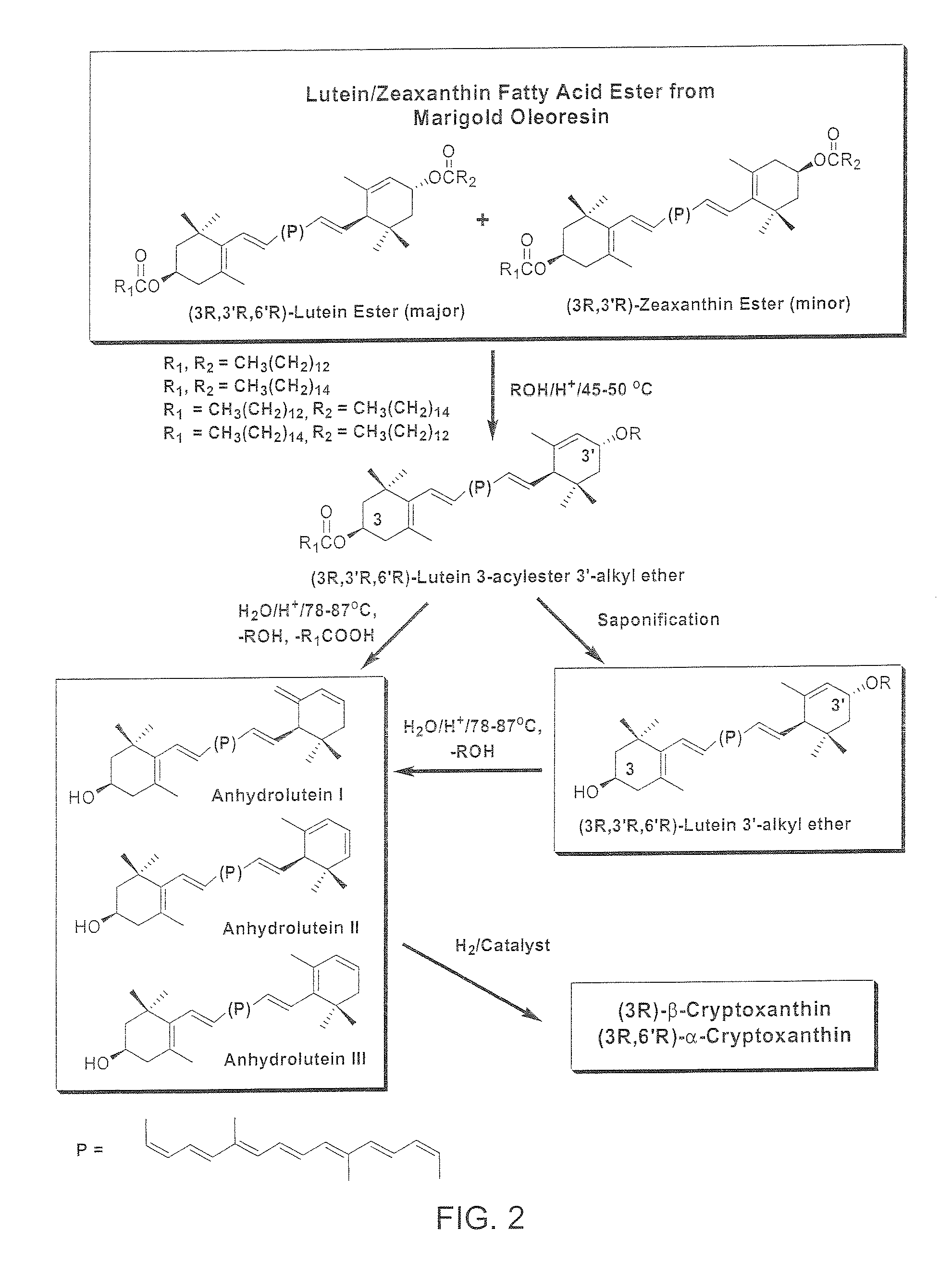 Process For The Preparation of Beta and Alpha Cryptoxanthin