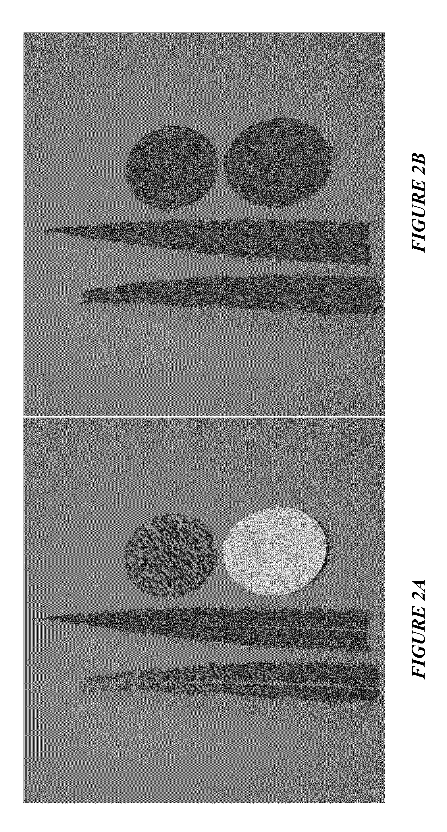 System and method of in-season nitrogen measurement and fertilization of non-leguminous crops from digital image analysis