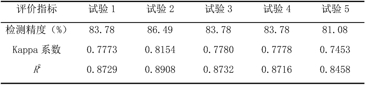 Method for detecting harm of Pantana phyllostachysae Chao by coupling multiple representations of leaves