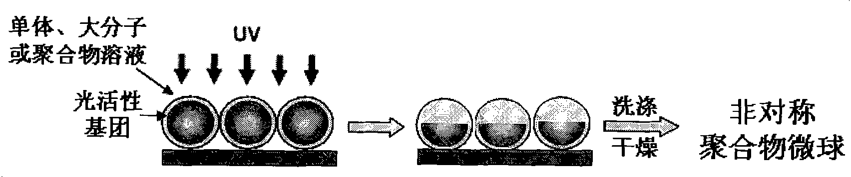 Method for preparing asymmetric polymer microsphere by using optically active polymer microsphere in UV light field