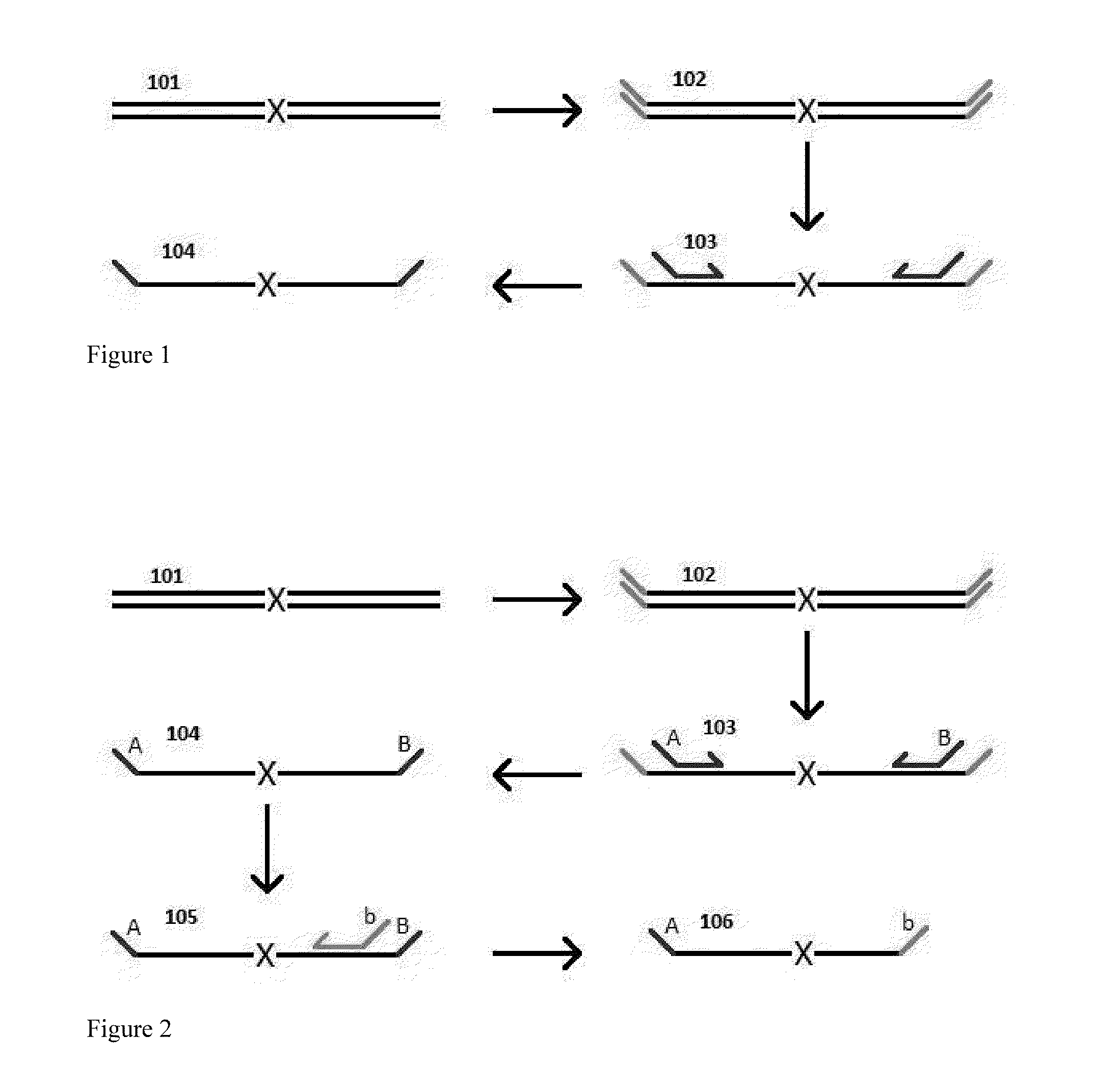 Highly Multiplex PCR Methods and Compositions
