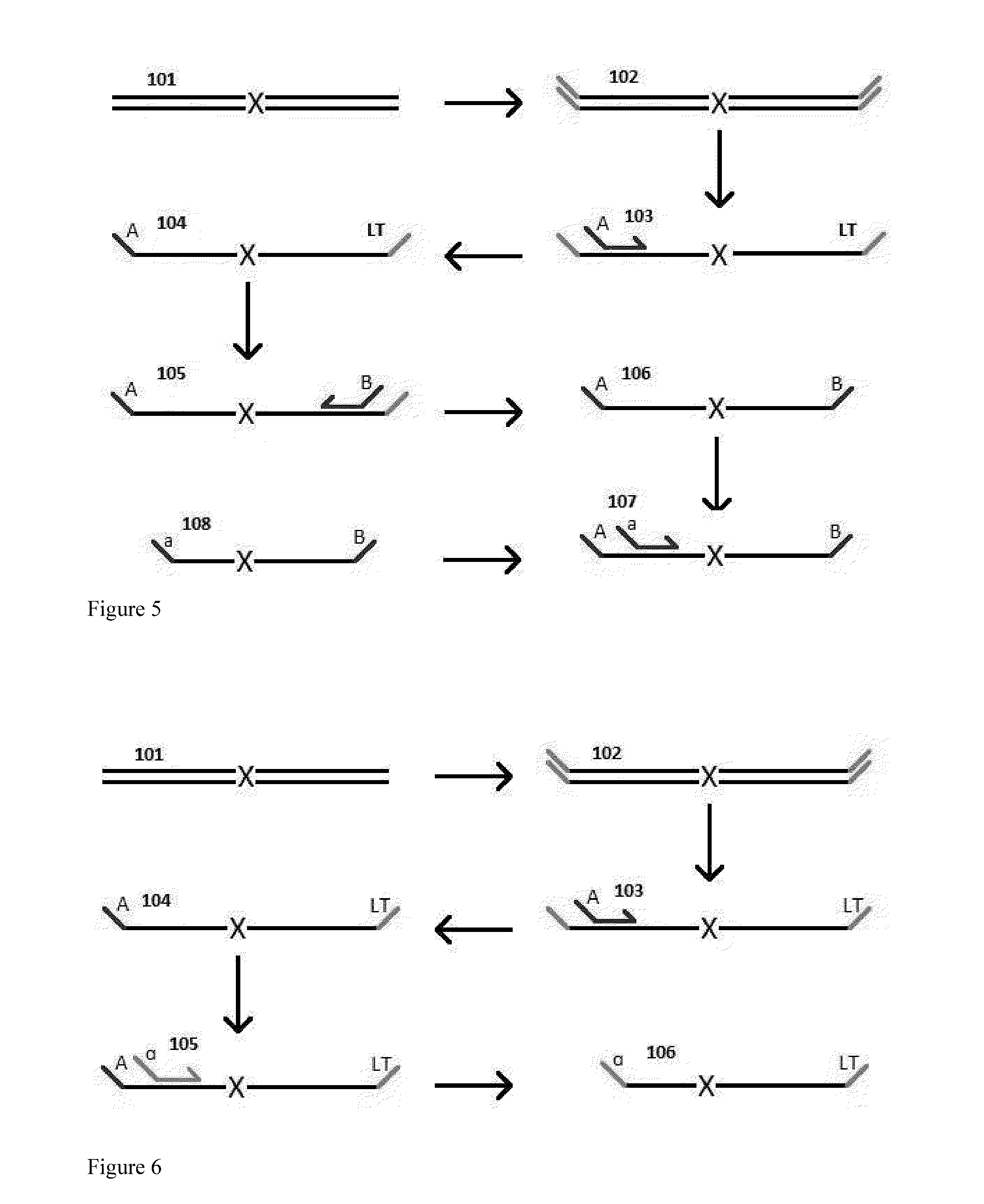 Highly Multiplex PCR Methods and Compositions