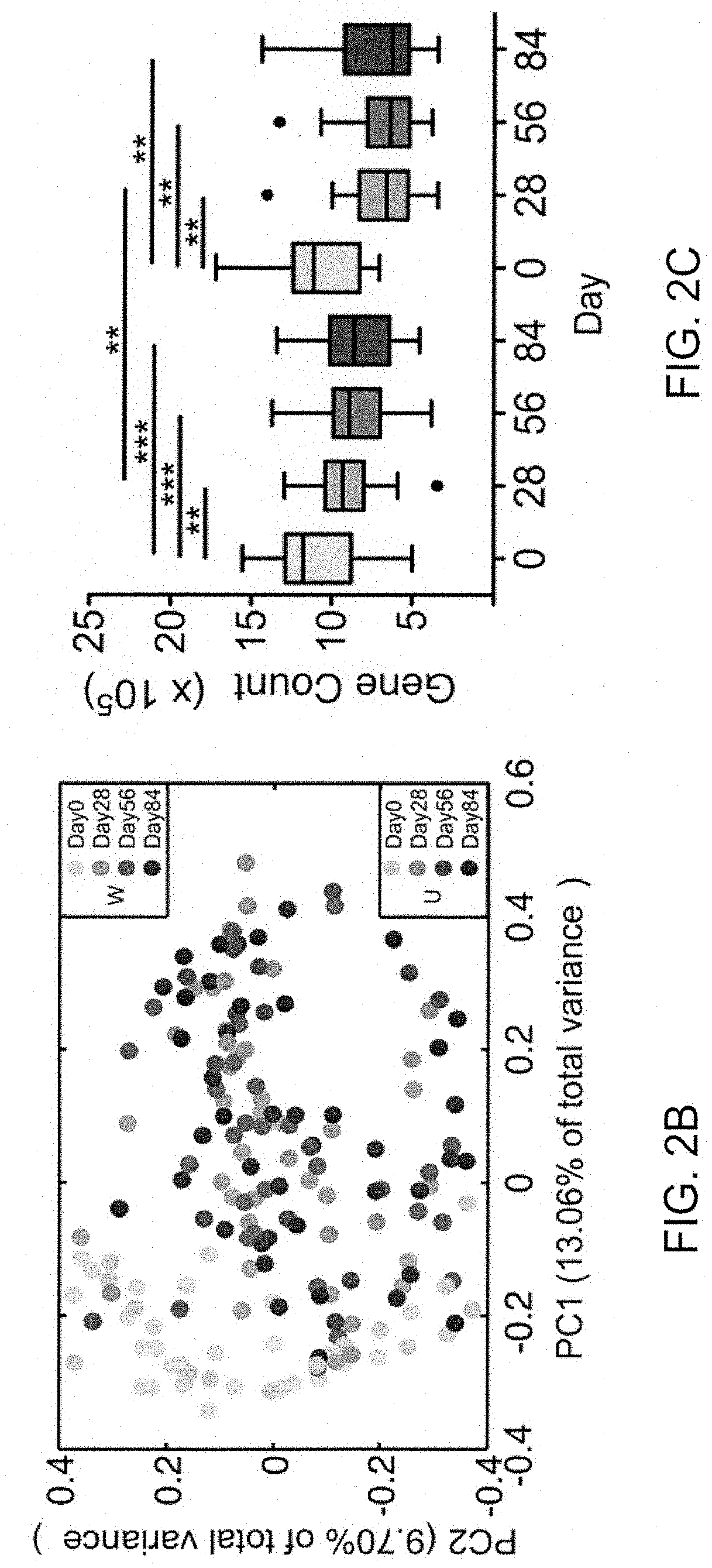 Biomarkers for type 2 diabetes mellitus and use thereof