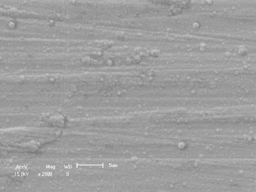 A method for preparing tantalum biocoating by magnetron sputtering on the surface of magnesium alloy