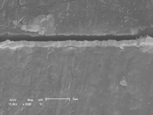 A method for preparing tantalum biocoating by magnetron sputtering on the surface of magnesium alloy