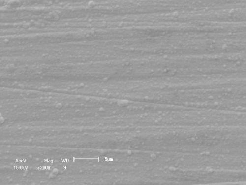 A method for preparing tantalum biocoating by magnetron sputtering on the surface of magnesium alloy