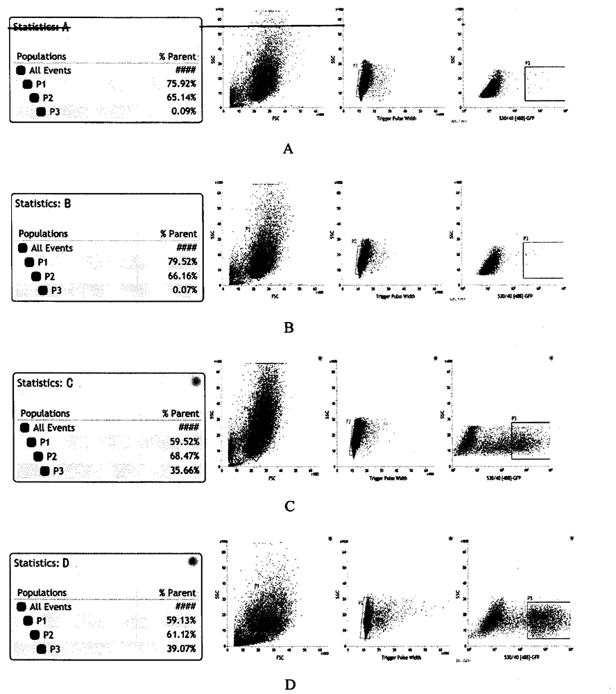 Helper plasmid for high efficiency building of transgenic mouse model and construction method thereof